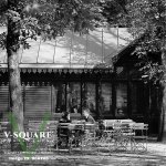 90AT05 - Jardin du Luxembourg, Paris, France