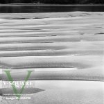 84AY09 - Waldport, Oregon, United States