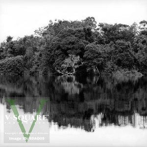 92AO09 - Lake Iripari, Ecuador