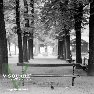 96AA03 - Jardin du Luxembourg, Paris, France