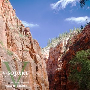 18AW04 - Zion National Park, Utah, United States