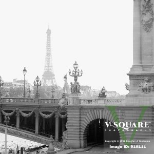 91AL11 - Le Pont Alexandre III, Paris, France