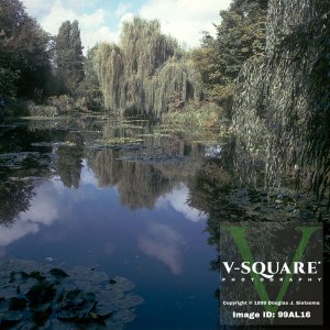 99AL16 - Monet's Lily Pond, Giverny, France