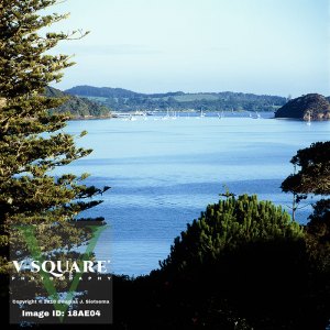 18AE04 - Russell, New Zealand