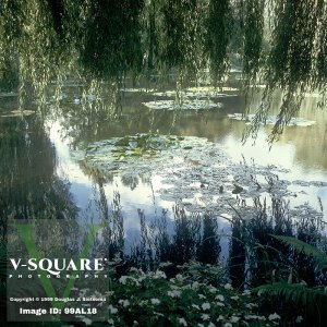 99AL18 - Monet's Lily Pond, Giverny, France