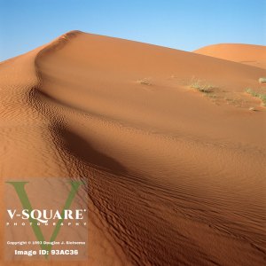 93AC36 - Dunes near Riyadh, Saudi Arabia